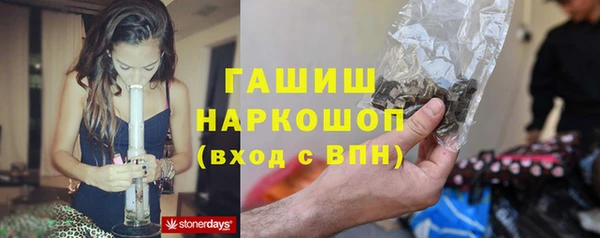 спиды Богородск