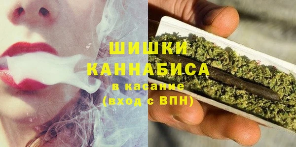 спиды Богородск