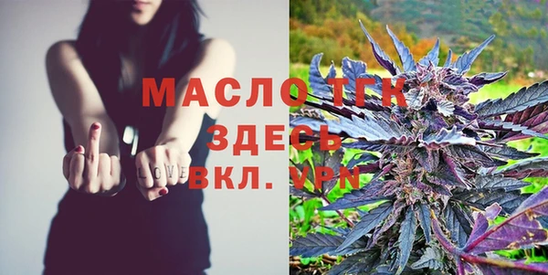 спиды Богородск