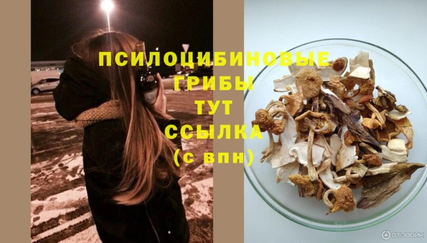 героин Богданович