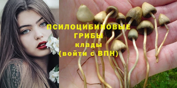 спиды Богородск