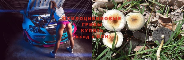 героин Богданович