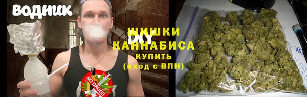 героин Богданович