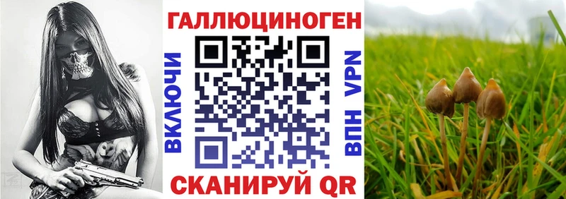 что такое наркотик  Малаховка  Псилоцибиновые грибы ЛСД 